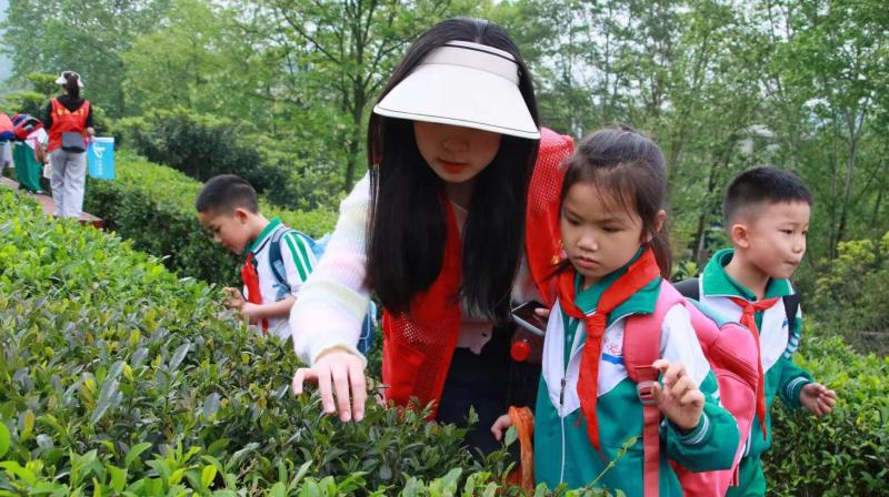 都匀二小学生到景区开展研学体验活动